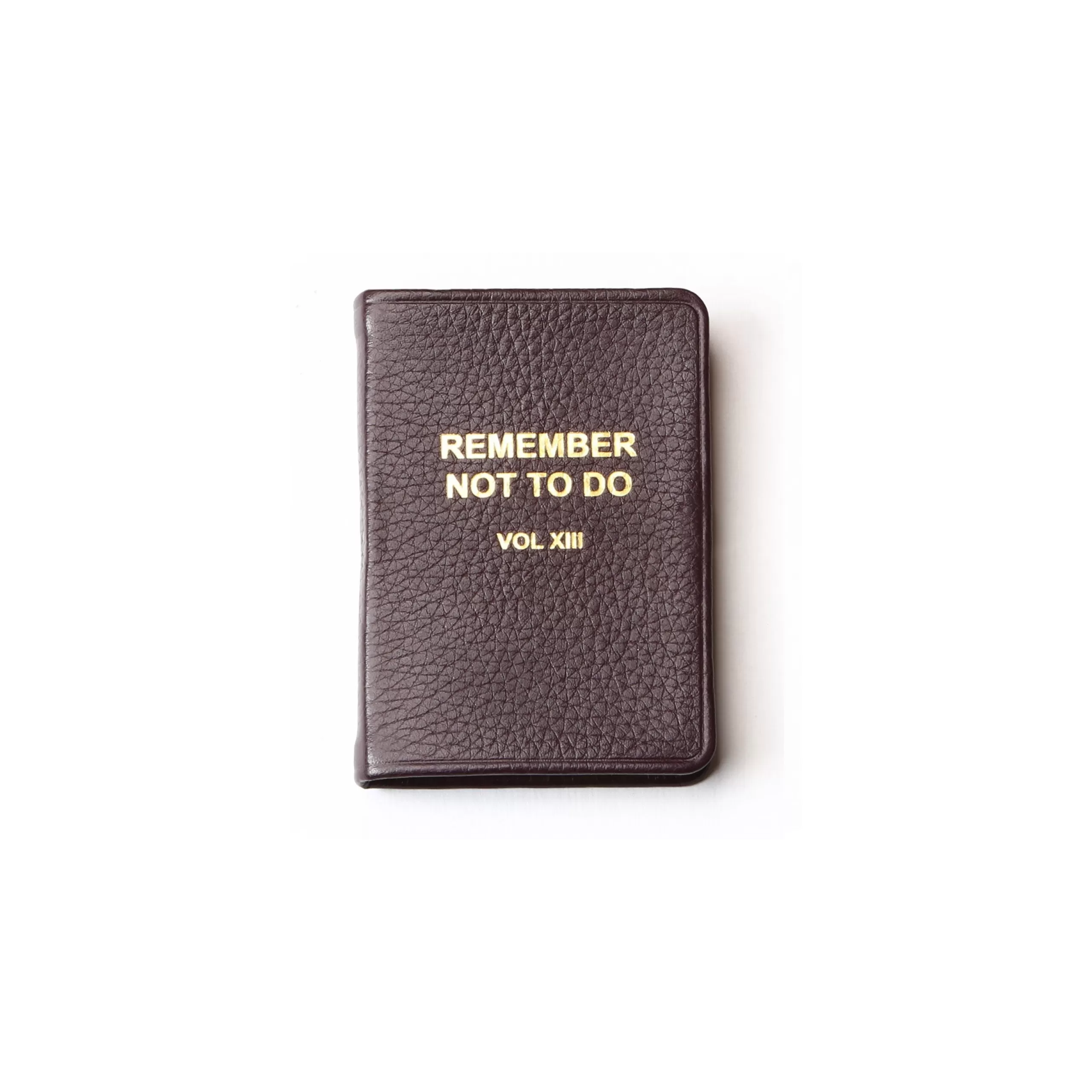 Kempton & Co Remember What Not To Do Vol Xiii - Mini Notebook - Oxblood | Small Leather Goods